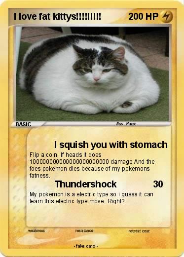 Pokemon I love fat kittys!!!!!!!!!