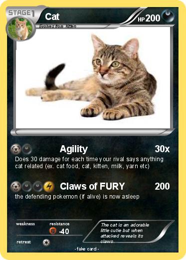 Pokemon Cat