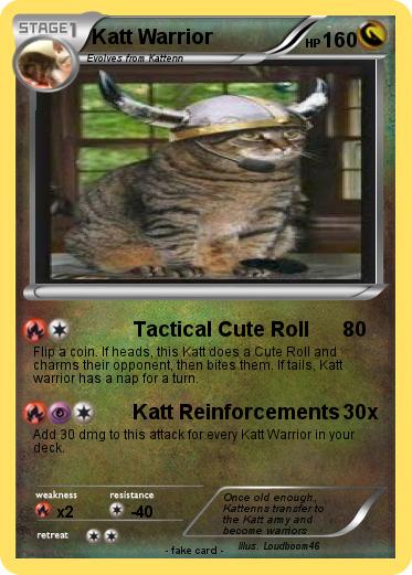 Pokemon Katt Warrior