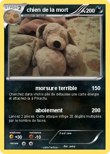 Pokemon chien de la mort