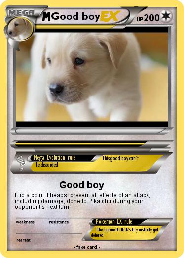 Pokemon Good boy