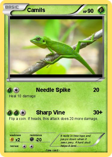 Pokemon Camils