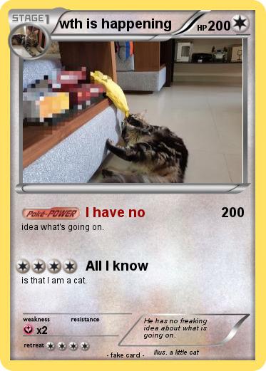 Pokemon wth is happening