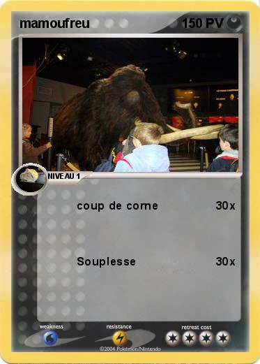 Pokemon mamoufreu