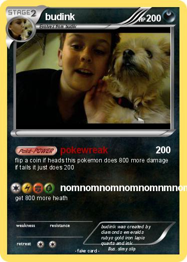 Pokemon budink