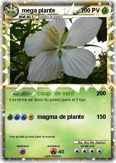 Pokemon mega plante