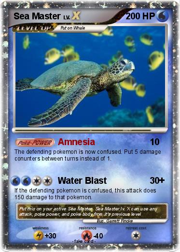 Pokemon Sea Master