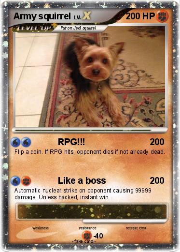 Pokemon Army squirrel