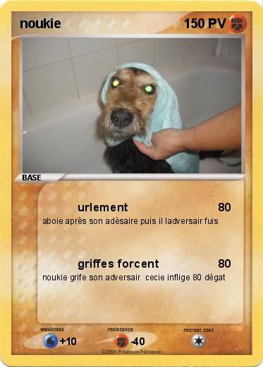 Pokemon noukie
