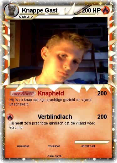 Pokemon Knappe Gast