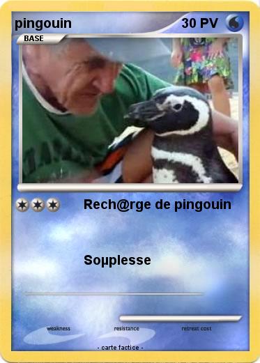 Pokemon pingouin