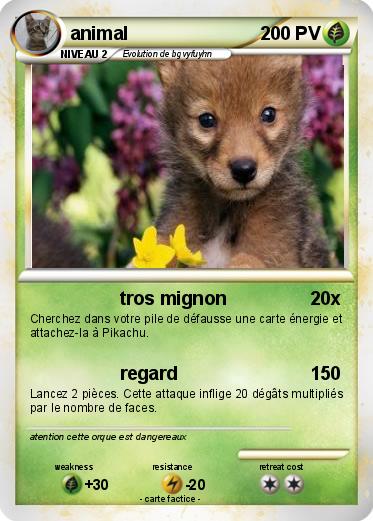 Pokemon animal
