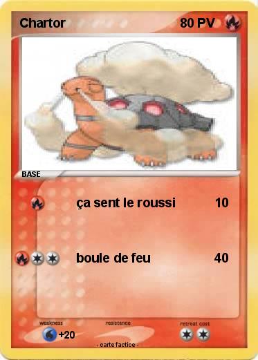 Pokemon Chartor