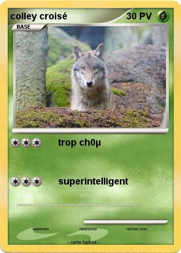 Pokemon colley croisé