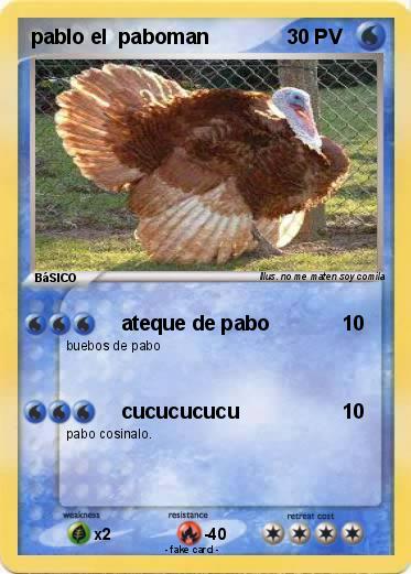 Pokemon pablo el  paboman