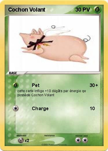 Pokemon Cochon Volant
