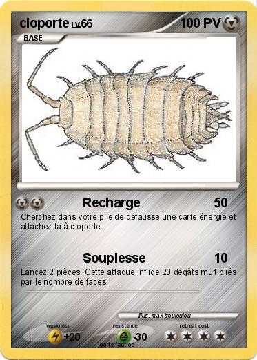 Pokemon cloporte