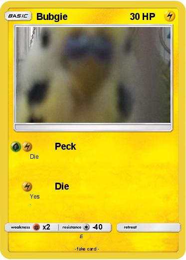 Pokemon Bubgie