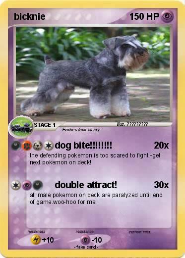 Pokemon bicknie