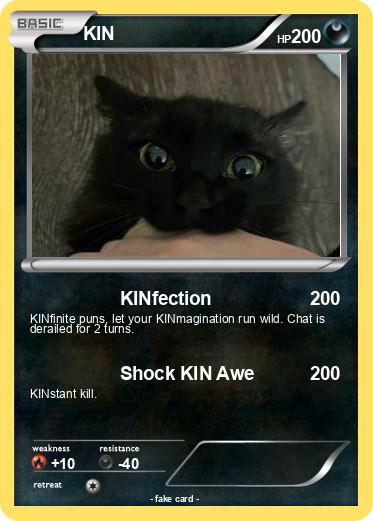 Pokemon KIN