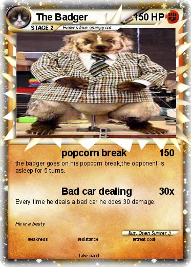 Pokemon The Badger
