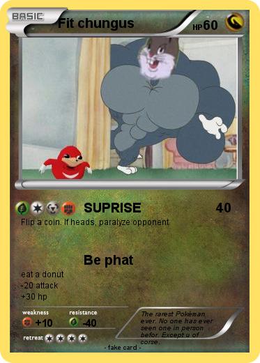 Pokemon Fit chungus