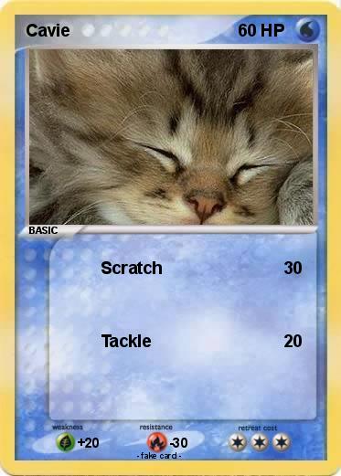 Pokemon Cavie