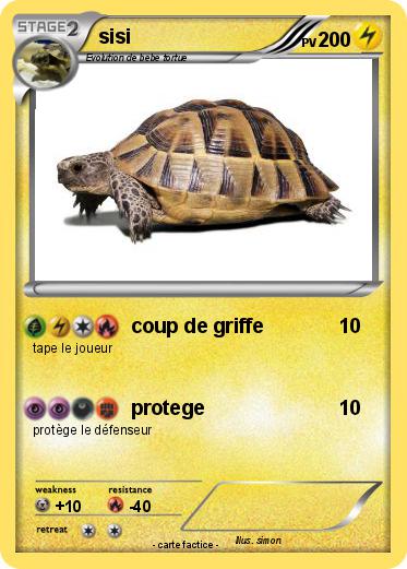 Pokemon sisi
