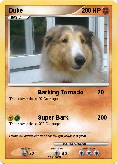 Pokemon Duke