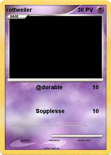 Pokemon rottweiler