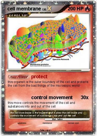 Pokemon cell membrane