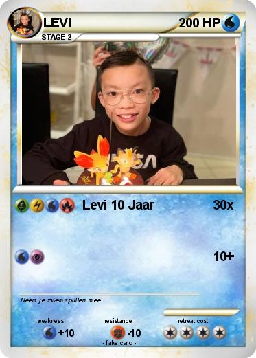 Pokemon LEVI