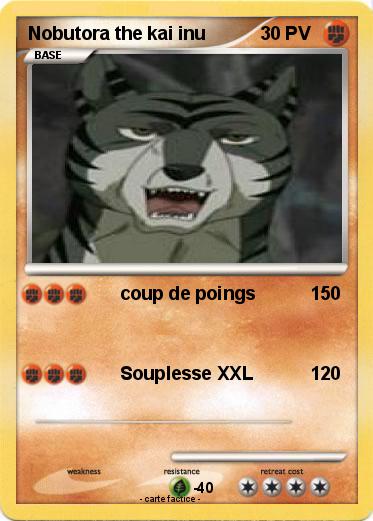 Pokemon Nobutora the kai inu