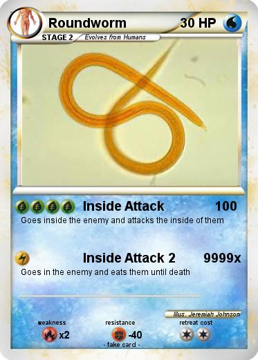 Pokemon Roundworm
