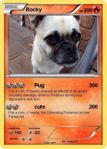 Pokemon Rocky
