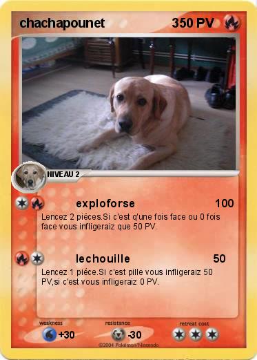 Pokemon chachapounet                   3