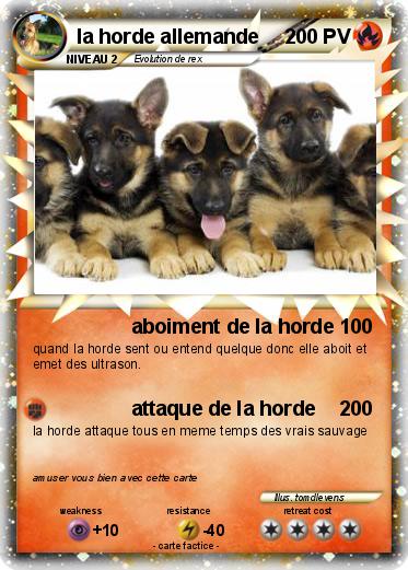 Pokemon la horde allemande
