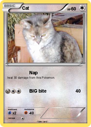 Pokemon Cat