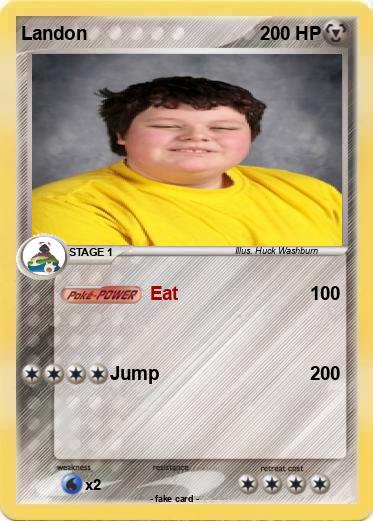 Pokemon Landon