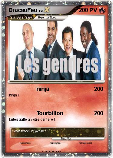 Pokemon DracauFeu