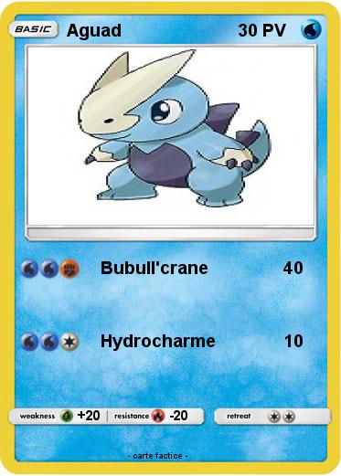 Pokemon Aguad