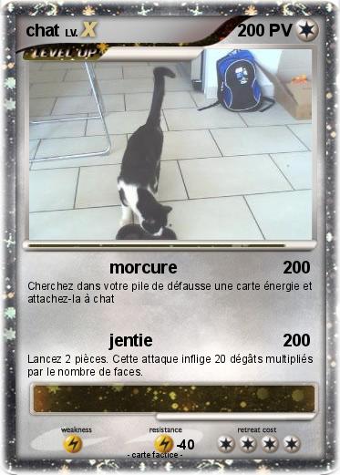 Pokemon chat