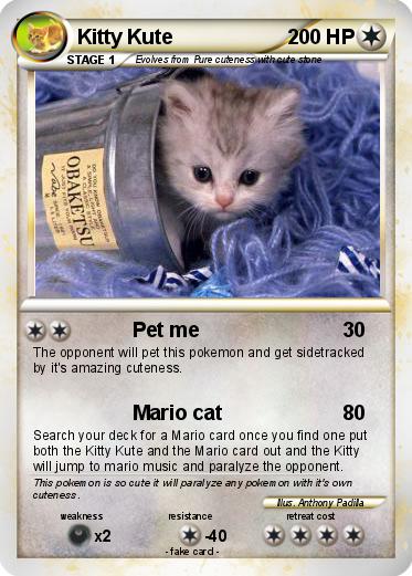 Pokemon Kitty Kute