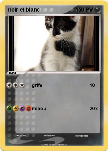 Pokemon noir et blanc