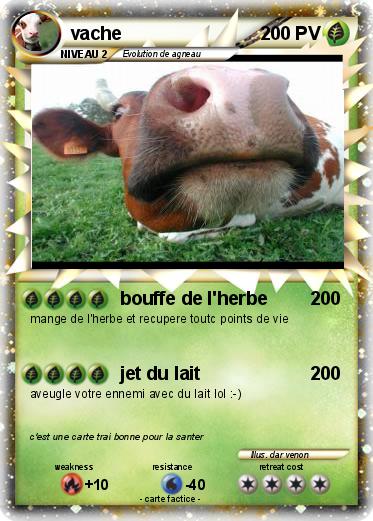 Pokemon vache