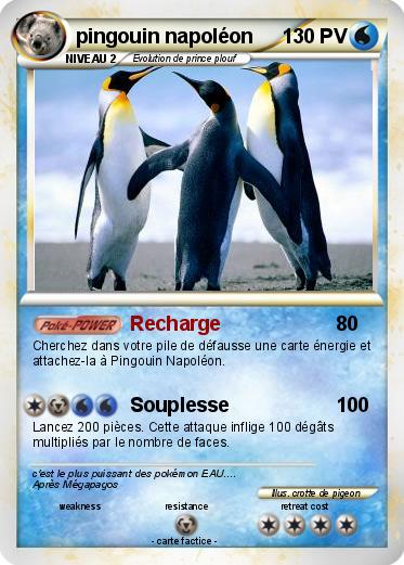 Pokemon pingouin napoléon