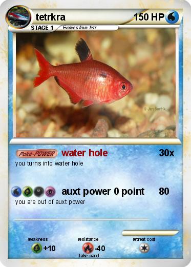 Pokemon tetrkra
