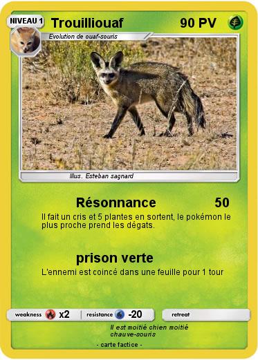 Pokemon Trouilliouaf