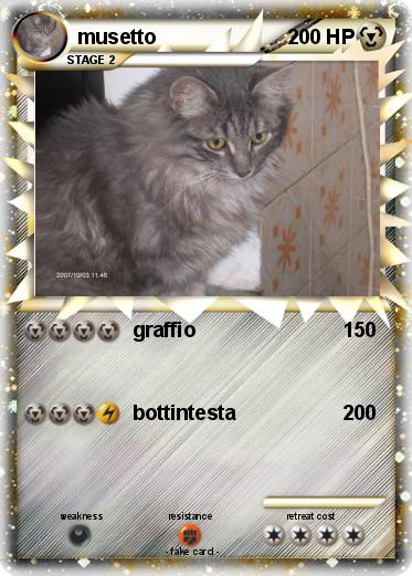 Pokemon musetto