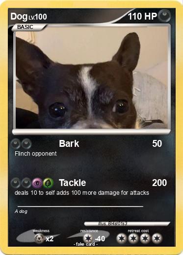 Pokemon Dog